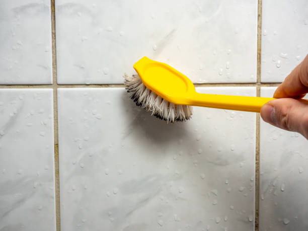 Best Black Mold Removal  in Higginsville, MO