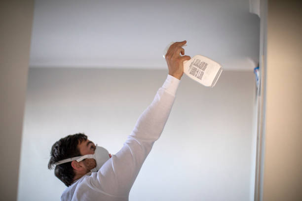 Best Mold Removal Near Me  in Higginsville, MO