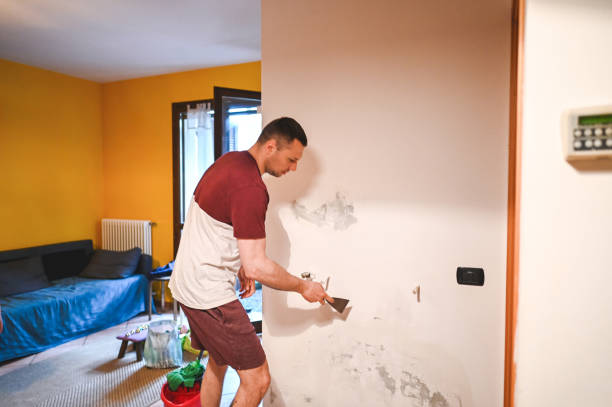 Best Fast Mold Removal  in Higginsville, MO
